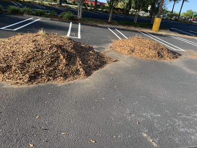 Piles of fresh mulch delivered to a parking lot