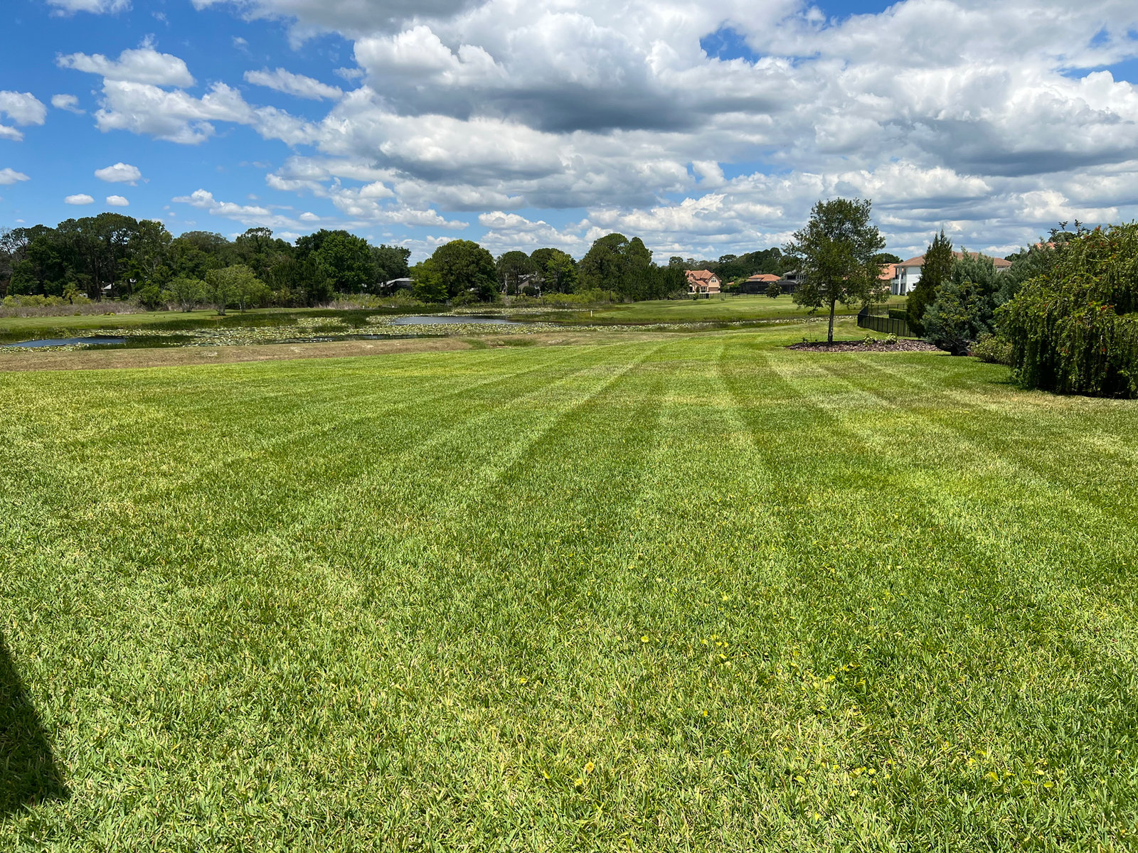 Wide freshly mowed lawn with crisp mowing stripes beside a pond under a blue sky