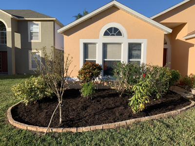 New dark mulch bed with young plants and edging in front of a home