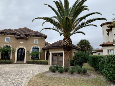 Florida home with a trimmed palm, clipped shrubs and a paver driveway
